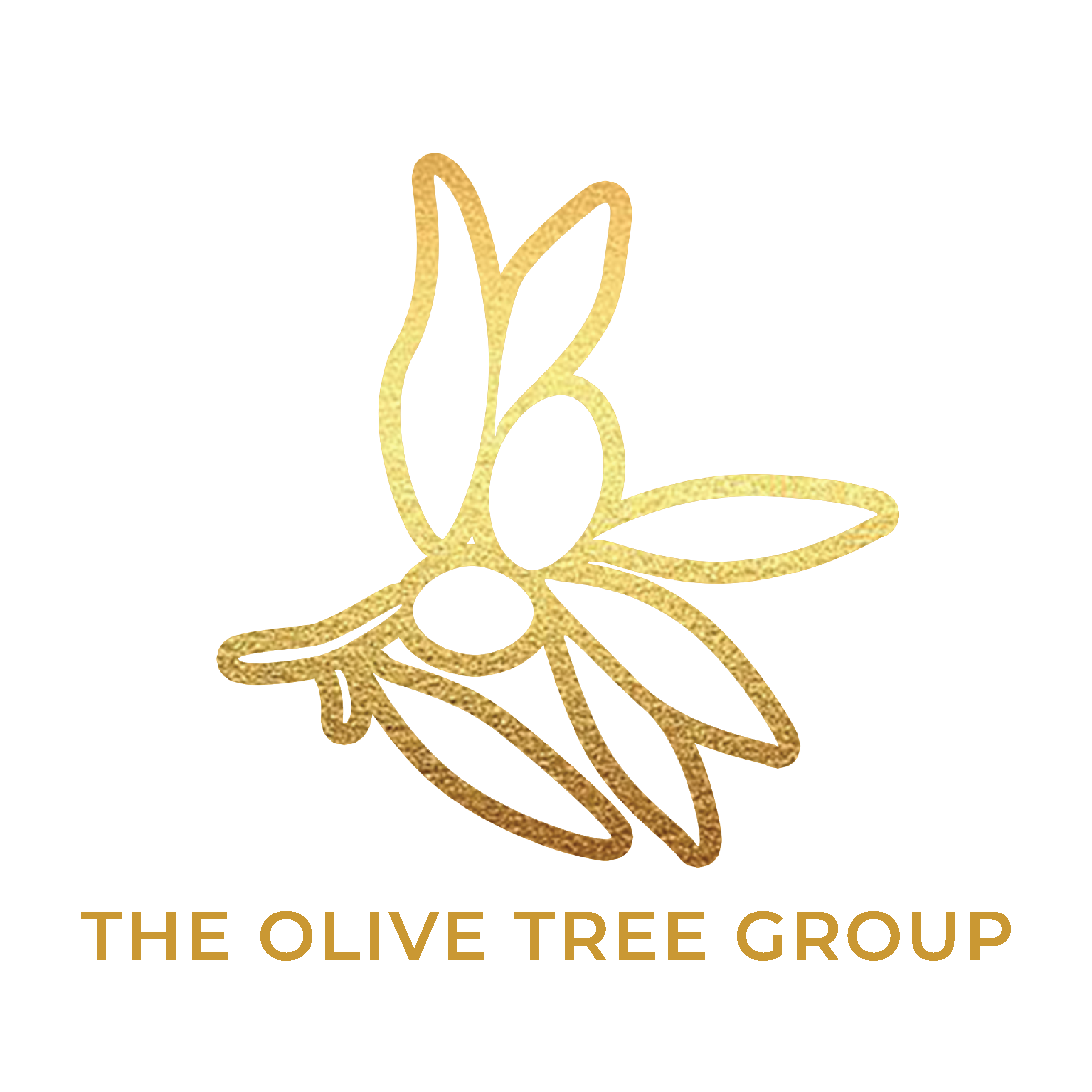 logo main